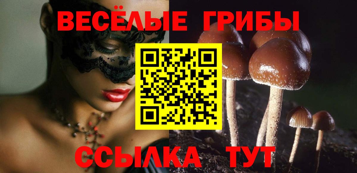Галлюциногенные грибы ЛСД Армавир
