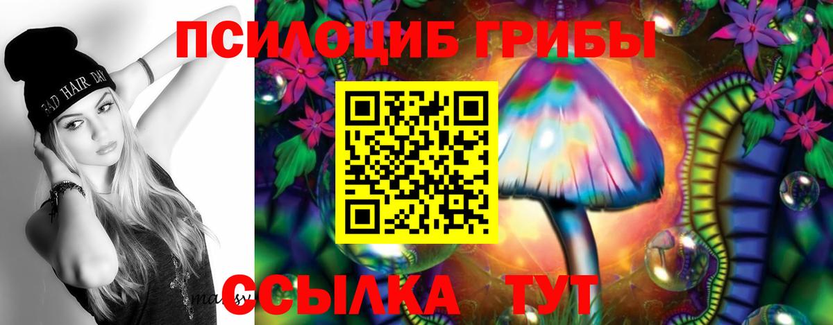Псилоцибиновые грибы Psilocybe  Вход с VPN  Армавир  Галлюциногенные грибы мухоморы 